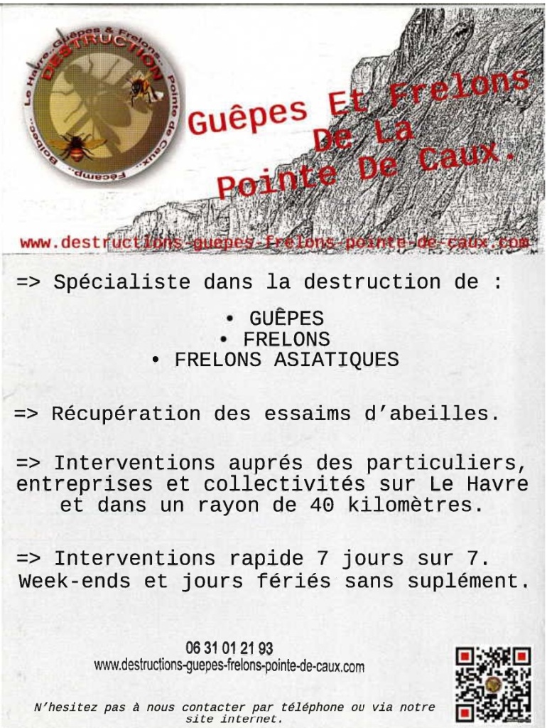 Destruction guêpes et frelons